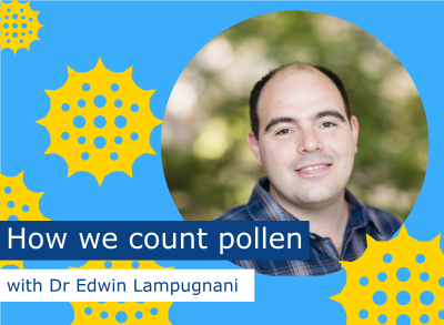 How we count and forecast pollen